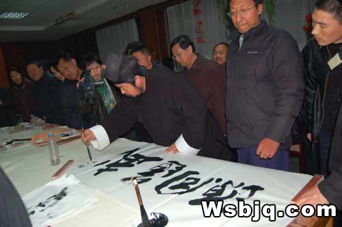 中华武术八极拳