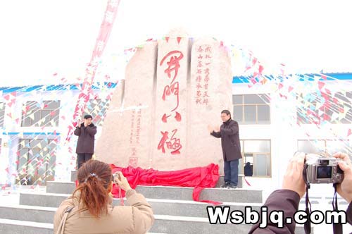 中华武术八极拳