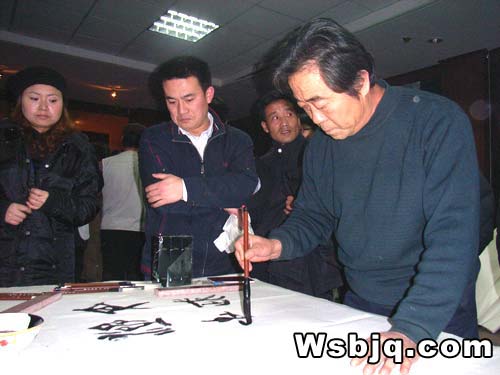 中华武术八极拳