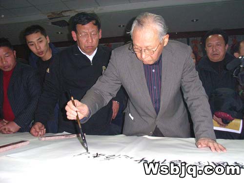 中华武术八极拳