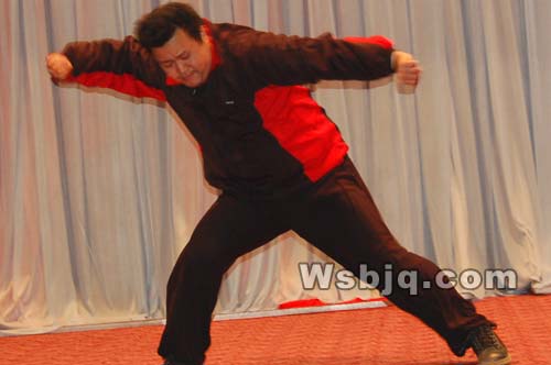 中华武术八极拳