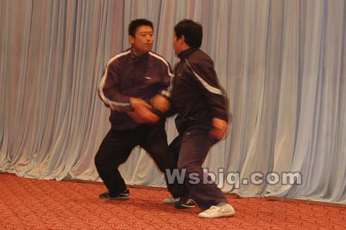 中华武术八极拳