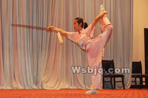 中华武术八极拳