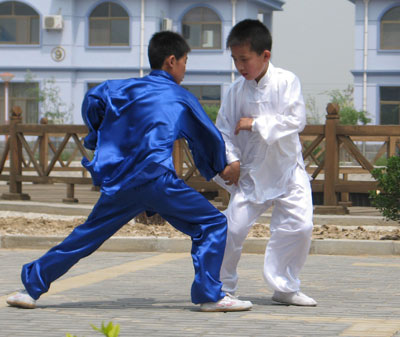 中华武术八极拳