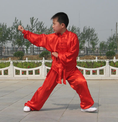 中华武术八极拳