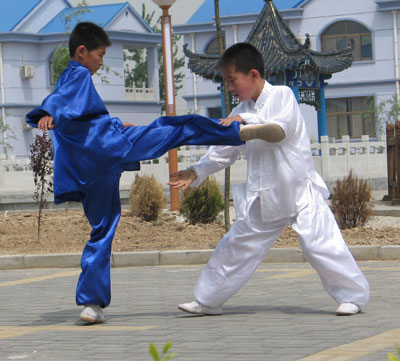 中华武术八极拳