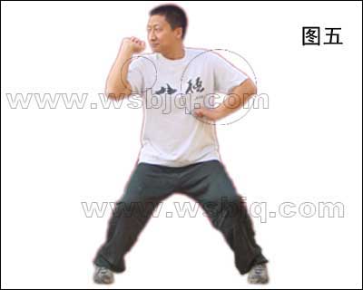 中华武术八极拳