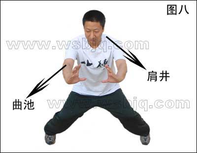 中华武术八极拳