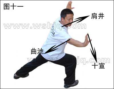 中华武术八极拳