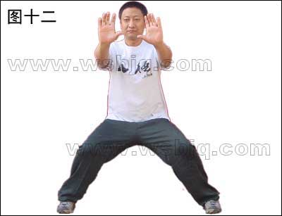 中华武术八极拳