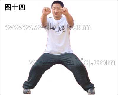 中华武术八极拳