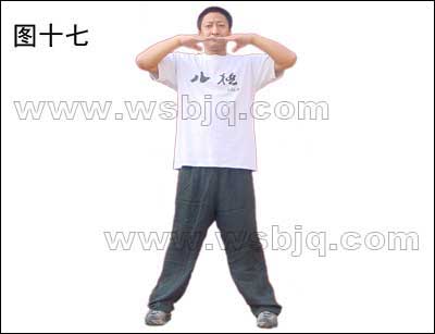 中华武术八极拳