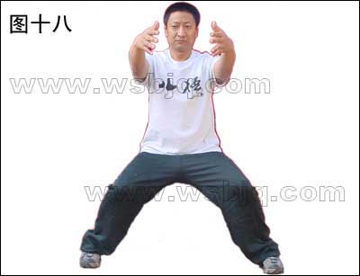 中华武术八极拳