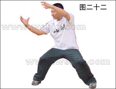 中华武术八极拳