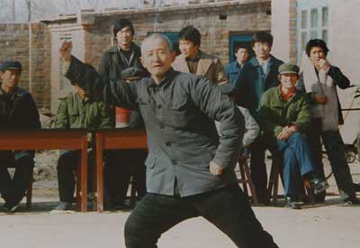 中华武术八极拳