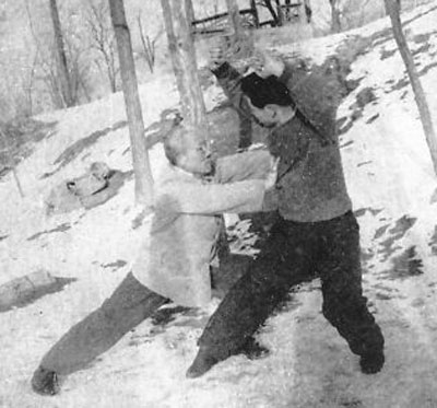 中华武术八极拳