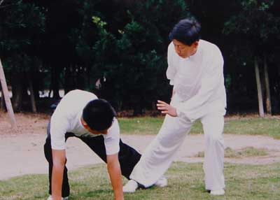 中华武术八极拳