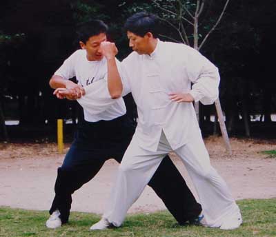 中华武术八极拳