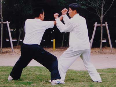 中华武术八极拳