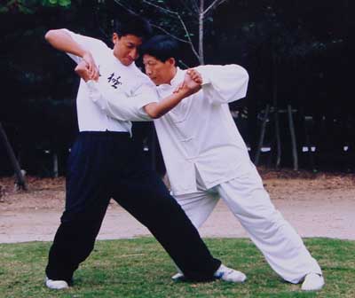 中华武术八极拳