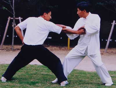 中华武术八极拳