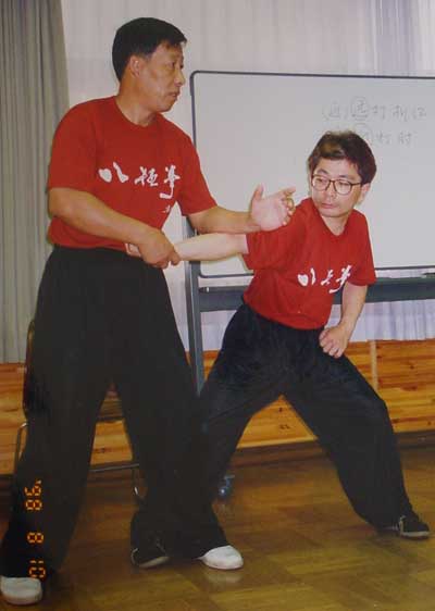 中华武术八极拳