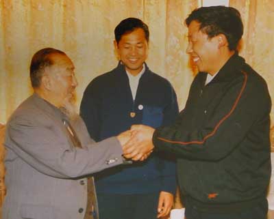 中华武术八极拳