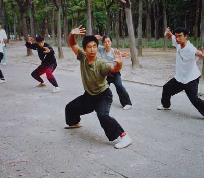 中华武术八极拳