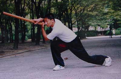 中华武术八极拳