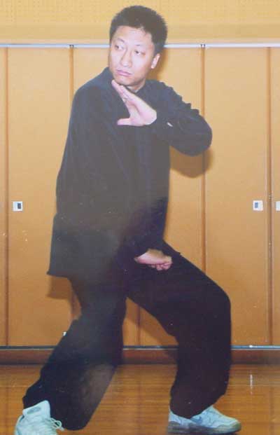 中华武术八极拳