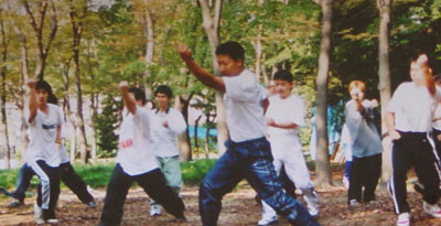 中华武术八极拳