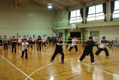 中华武术八极拳