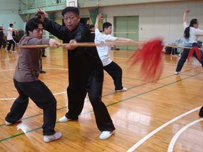 中华武术八极拳