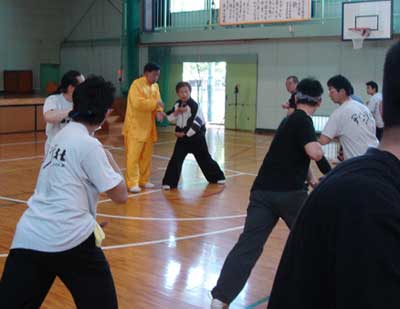 中华武术八极拳