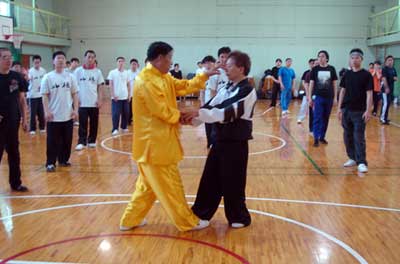中华武术八极拳