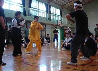 中华武术八极拳