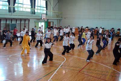 中华武术八极拳