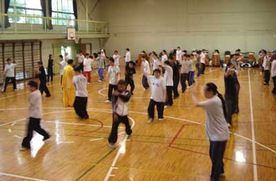 中华武术八极拳