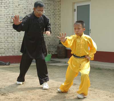 中华武术八极拳