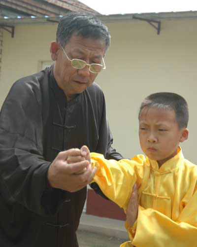 中华武术八极拳