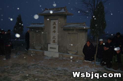 中华武术八极拳