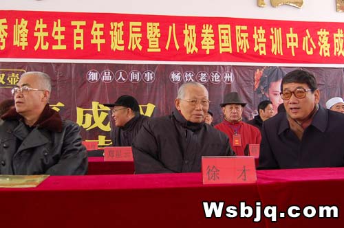 中华武术八极拳