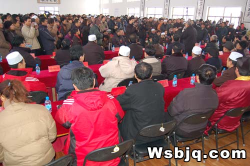 中华武术八极拳