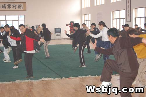 中华武术八极拳