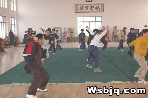 中华武术八极拳