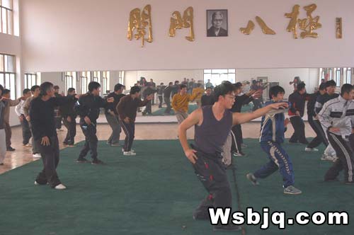 中华武术八极拳