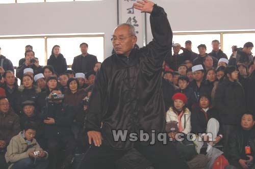 中华武术八极拳