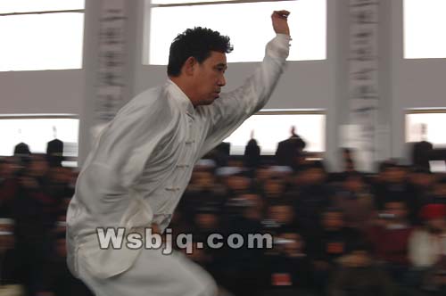 中华武术八极拳