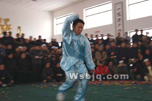 中华武术八极拳