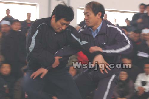 中华武术八极拳